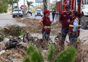 «Encabeza Ana Paty Peralta jornada de limpieza urbana en avenida principal de Cancún»