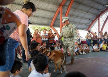 Seguridad Ciudadana se fortalece con jornadas de proximidad en Benito Juárez