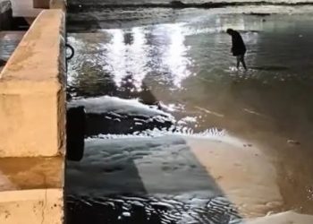 mar se aleja de Yucatán, vaciante marina Yucatán, fenómeno natural Yucatán