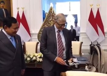 Bobby Kertanegara, el gato presidente de Indonesia