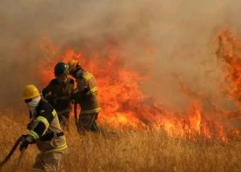 incendios forestales en Quintana Roo, incendios en Isla Mujeres, incendios en Tulum