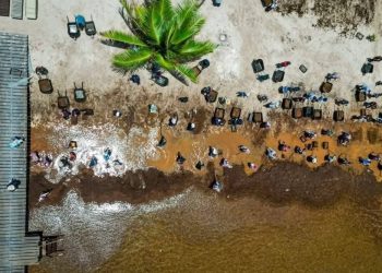 Mahahual sargazo, crisis de sargazo Mahahual