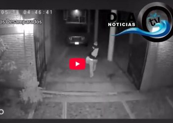 Maltrato animal en Oaxaca: acusan a francés de atacar a perros con ácido