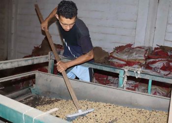 «México se prepara para cumplir reglas europeas contra la deforestación»