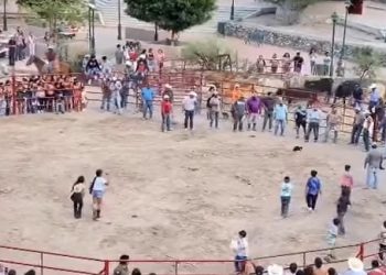 xichu guanajuato gatos pirotecnia