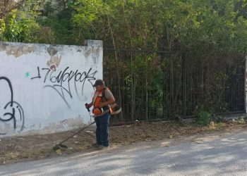 servicios públicos en tulum