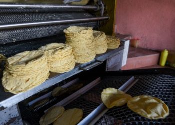 «¿Cuánto cuesta el kilo de tortilla en México? Precios para mayo 2025 por estado»