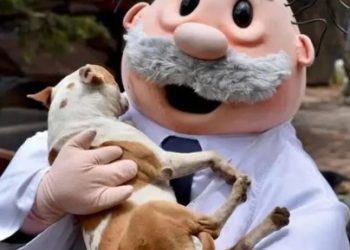 «Farmacias Similares podría lanzar clínicas veterinarias: todo sobre SimiPet Care»