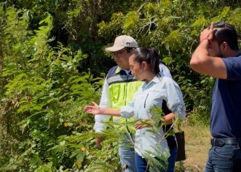 Chetumal se anticipa a la temporada de lluvias: limpian más de 5 km de canales pluviales.