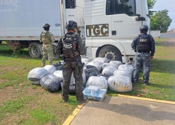 Aseguran 450 kilos de droga oculta en un tráiler en Chiapas