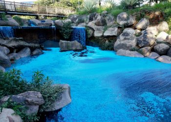 Derrame de colorante tiñe de azul un lago y su fauna a las afueras de São Paulo