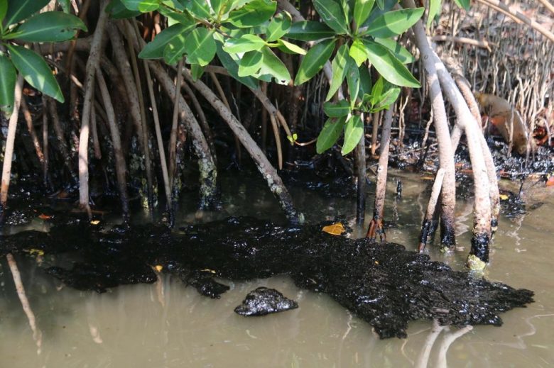 Un derrame de petróleo obligó al cierre de playas y la suspensión de actividades pesqueras en el municipio de Paraíso, Tabasco (Foto de El Universal)