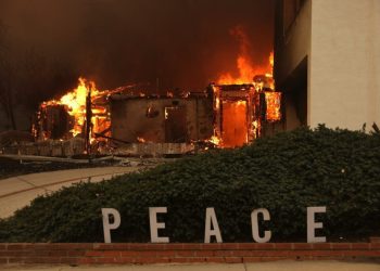 Desciende actividad de incendios a nivel global en lo que va del año