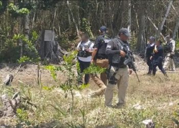 Descubre presunto campo de exterminio en Bacalar, Quintana Roo