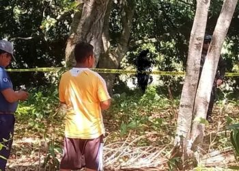 Horror en Tabasco: hallan a mujer sin vida en un árbol