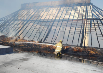 VIDEO: Incendio en palapas del hotel Bahía Príncipe en Tulum: sin personas lesionadas