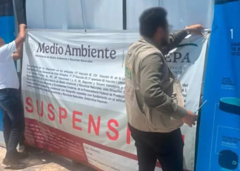 Defensa legal tras cierre de delfinario en la Riviera Maya