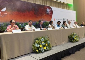 Restaurar y conservar nuestros manglares, prioridad ambiental y social del Gobierno del Estado: SEMA