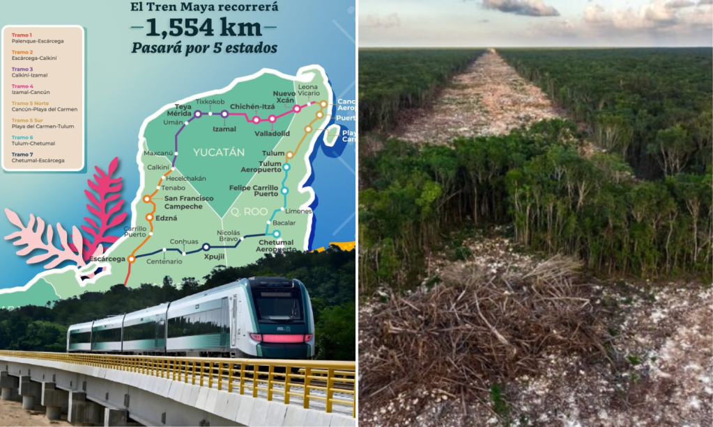 Tren Maya de carga arrasará cientos de hectáreas de selva en la construcción de terminales y el ramal a Progreso y Cancún