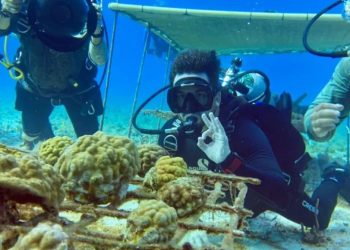 Cuarto Muelle Cozumel, activistas Cuarto Muelle, permiso Cuarto Muelle, rechazo Cuarto Muelle,