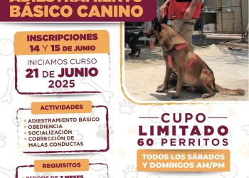 Bomberos de Cancún invitan a participar en curso especializado de adiestramiento canino