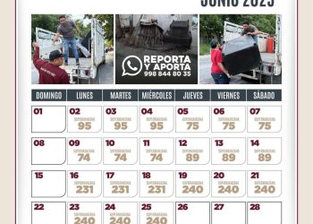 «Así será la jornada de descacharrización en Benito Juárez durante junio»