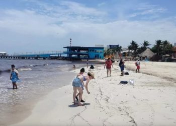 «Disminuye sargazo en Playa del Carmen tras semanas de acumulación»