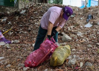 cenotes urbanos cancún, limpieza cenotes cancún, rescate cenotes cancún