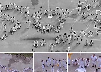 Cubanos lanzan S.O.S. migratorio desde centro de detención en Miami