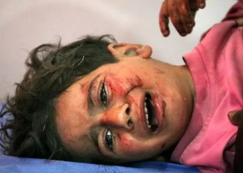 genocidio en Gaza, Omer Bartov