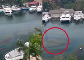 derrame de combustible en Puerto Aventuras, derrame Puerto Aventuras, combustible Puerto Aventuras, diésel Puerto Aventuras,