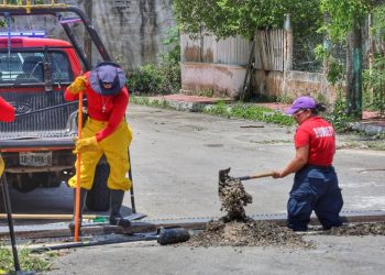 Despliegan brigadas del Operativo Tormenta para atender puntos críticos de Chetumal