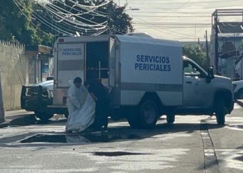 hallazgo en Cancún, cuerpo sin vida, hallazgo Región 66, violencia en Cancún,