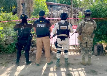 «Caen con droga en José María Morelos: cuatro detenidos tras cateos por narcomenudeo»