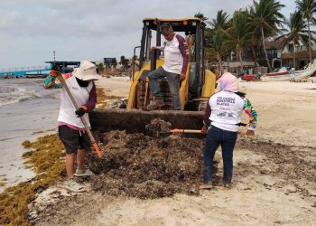 «Gobierno de Estefanía Mercado refuerza estrategia contra el sargazo en Playa del Carmen»