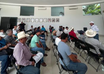 «Playa del Carmen actúa contra el gusano barrenador»