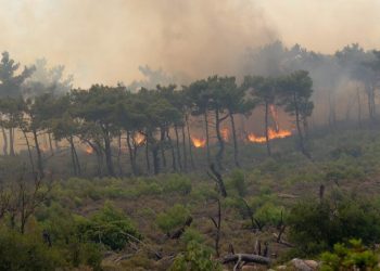 Incendio forestal arrasa miles de hectáreas en isla griega de Quíos