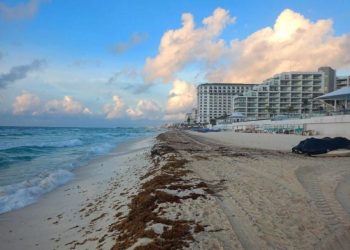 playas sin sargazo Cancún, sargazo 25 de junio 2025, playas limpias Cancún,