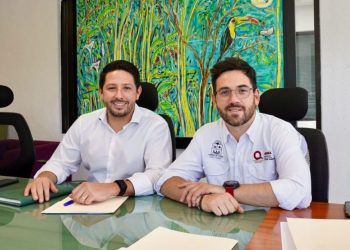 Renán Sánchez Tajonar, cuarto muelle Cozumel, transparencia cuarto muelle,