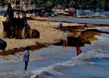 sargazo en Playa del Carmen, sargazo Playa del Carmen, gas tóxico sargazo, ácido sulfhídrico sargazo,