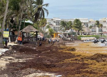 sargazo en la Riviera Maya, turismo afectado por sargazo, cancelaciones en Riviera Maya,