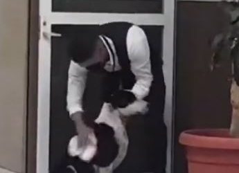 Trabajador del IMSS conmueve al país tras cuidar a perrito en la lluvia