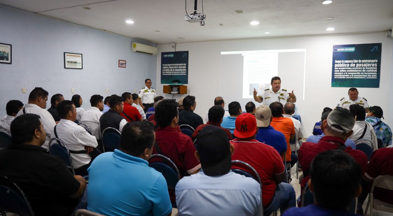 seguridad vial, educación vial
