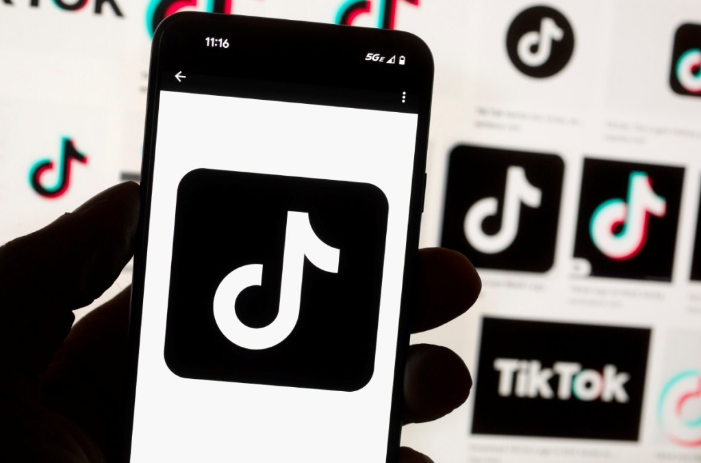 Videos en redes sociales, como TikTok, son usados para difundir instrucciones engañosas que comprometen la seguridad de los usuarios, según firmas de ciberseguridad como Check Point Research y Trend Micro