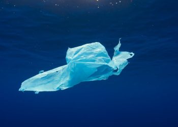 Aumenta la presión internacional para cerrar un tratado contra los plásticos