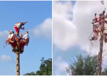Caen voladores de Papantla desde 10 metros en Veracruz