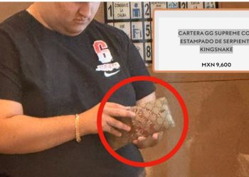 Cartera del hijo de AMLO cuesta más que el sueldo promedio en Yucatán