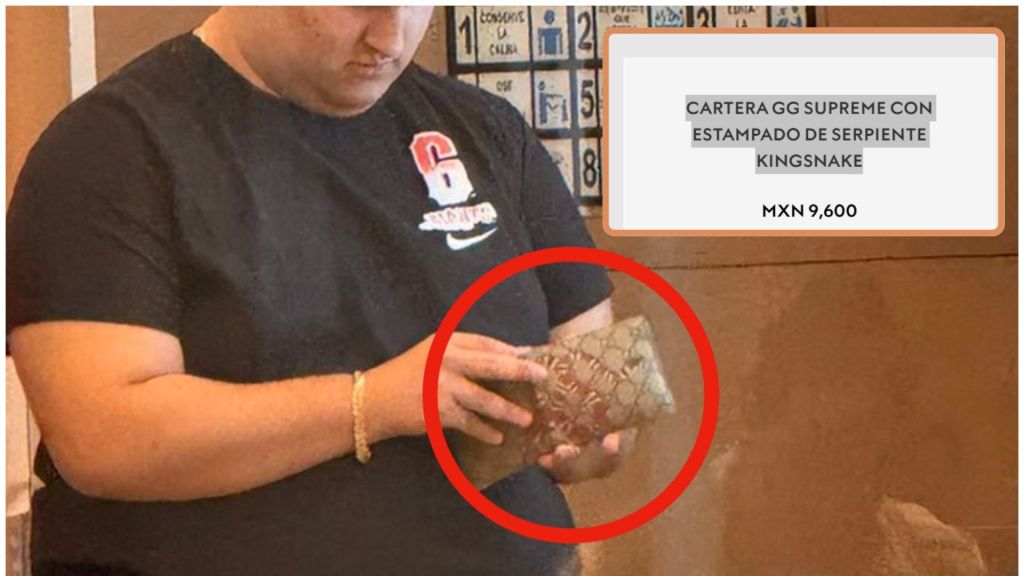 Con precios desde los 9 mil 600 hasta superar los 10 mil pesos, la cartera del hijo de AMLO supera el salario mensual promedio de Yucatán.