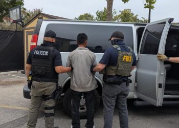 Claudia Sheinbaum: Suman 222 mexicanos detenidos en las redadas en EE.UU.