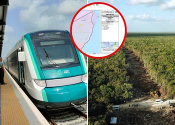 ¿Cuánto talarán de selva Tren Maya de carga Terminal Multimodal Cancún, a consulta